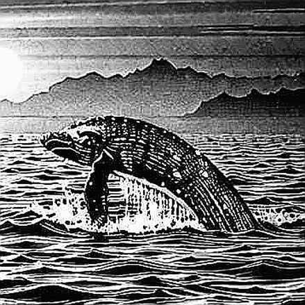 The $218M to $43M Cliff: Satsuma's Bitcoin Treasury and the Hidden Leverage That Killed It The $218M to $43M Cliff: Satsuma's Bitcoin Treasury and the Hidden Leverage That Killed It
