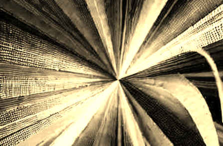The 43.5% Anomaly: Why Prediction Markets Are Not Oracles of Truth The 43.5% Anomaly: Why Prediction Markets Are Not Oracles of Truth