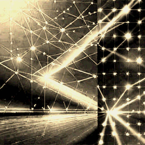 The $500M Ghost Chains: When Infrastructure Builds Empty Cathedrals The $500M Ghost Chains: When Infrastructure Builds Empty Cathedrals